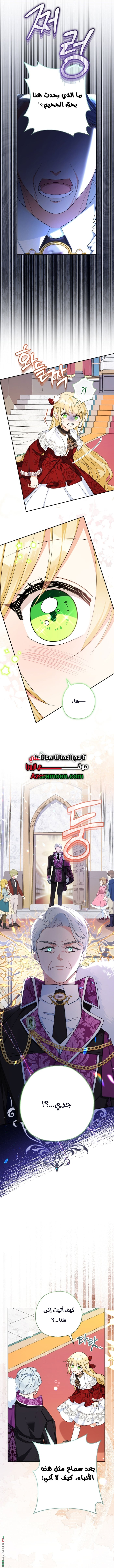 الصفحة 14