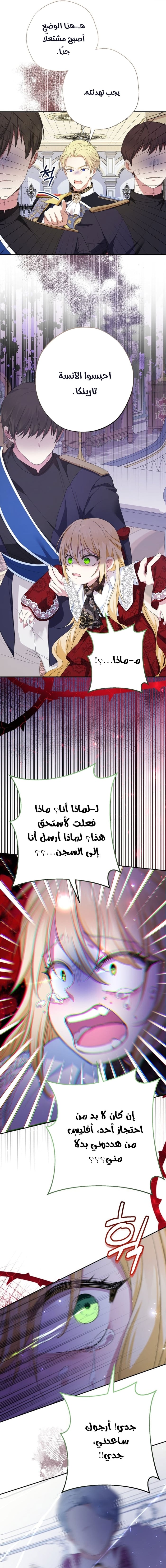الصفحة 14