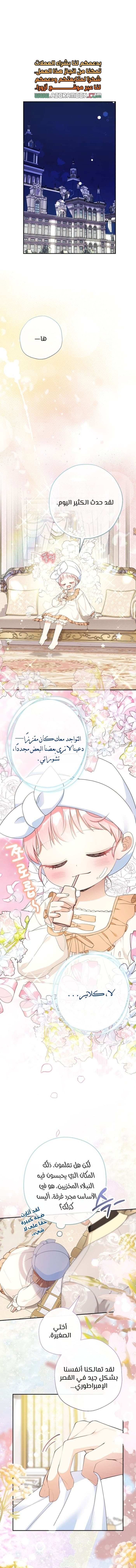 الصفحة 2