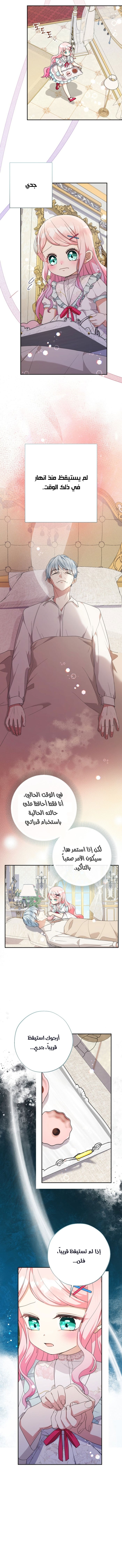 الصفحة 7