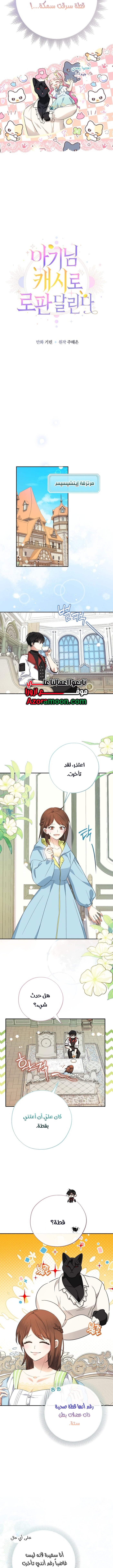 الصفحة 3