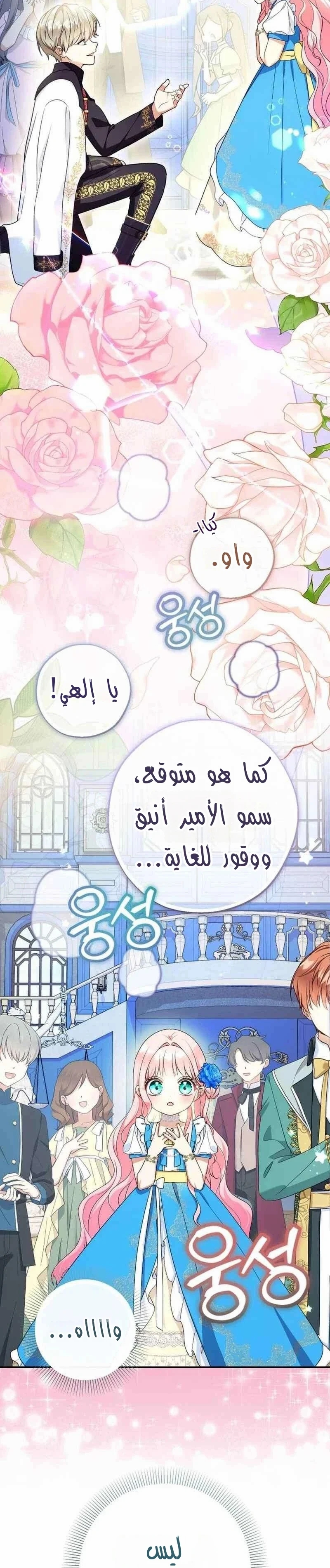 الصفحة 27