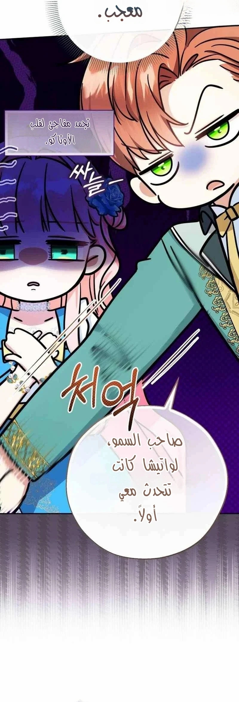 الصفحة 28