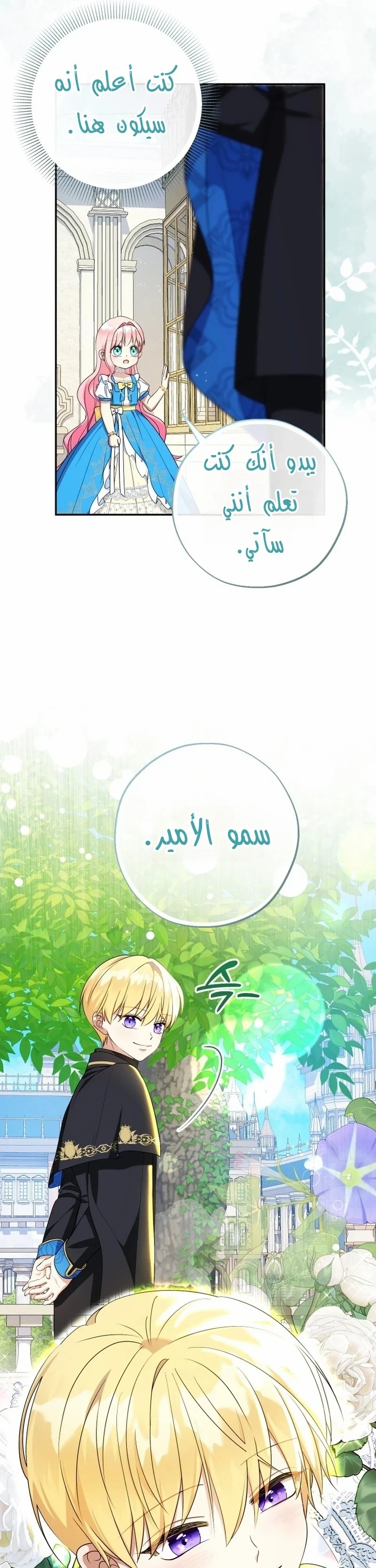 الصفحة 21