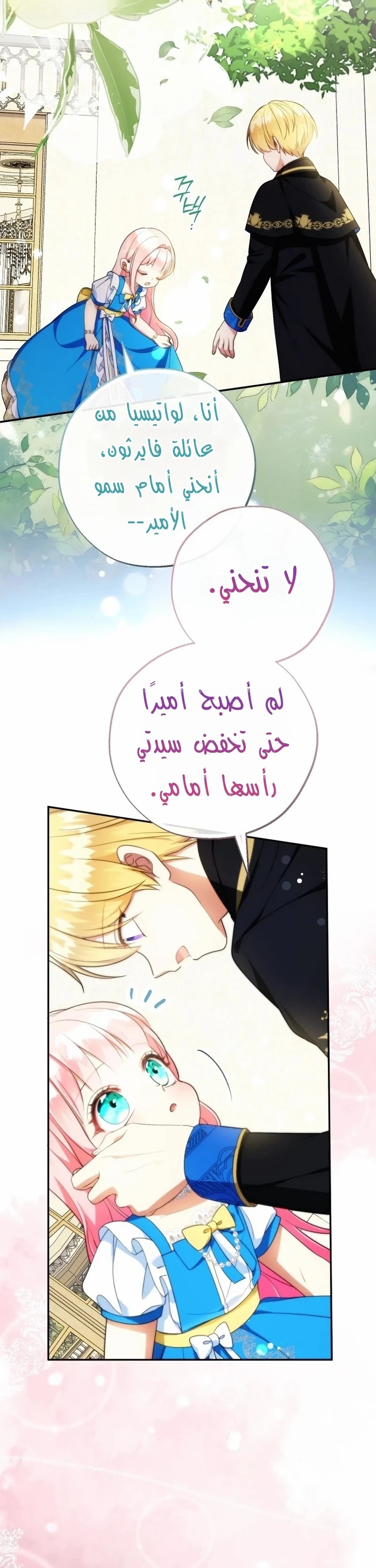 الصفحة 24