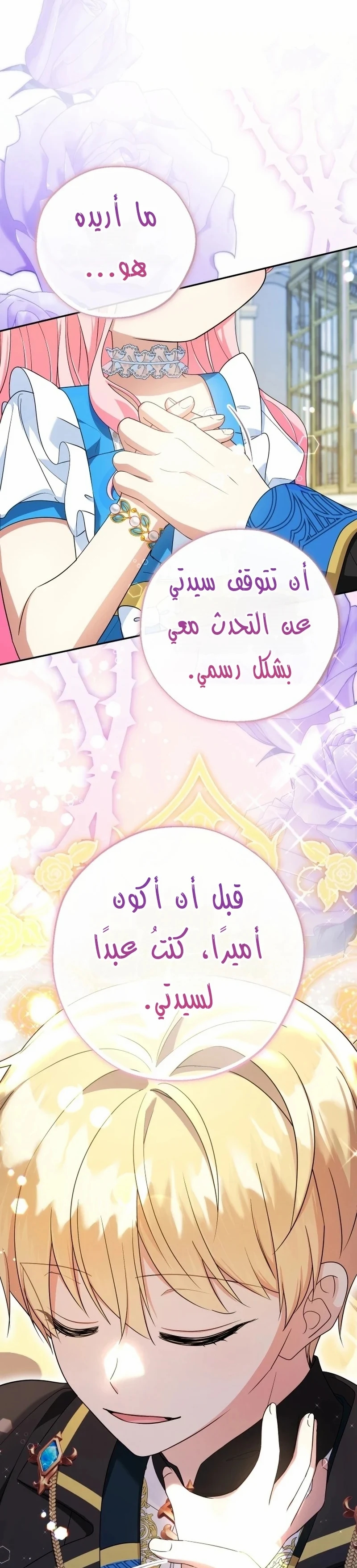 الصفحة 31