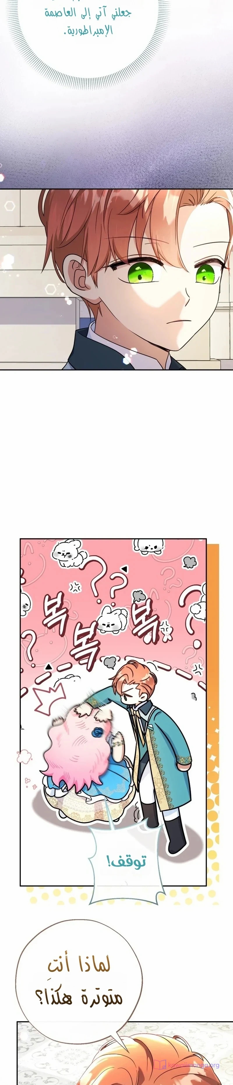 الصفحة 7