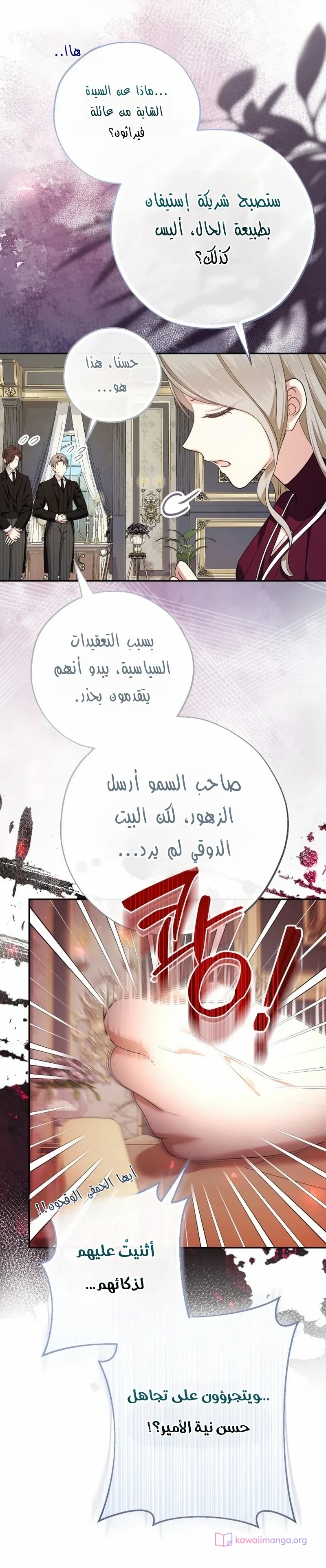 الصفحة 17