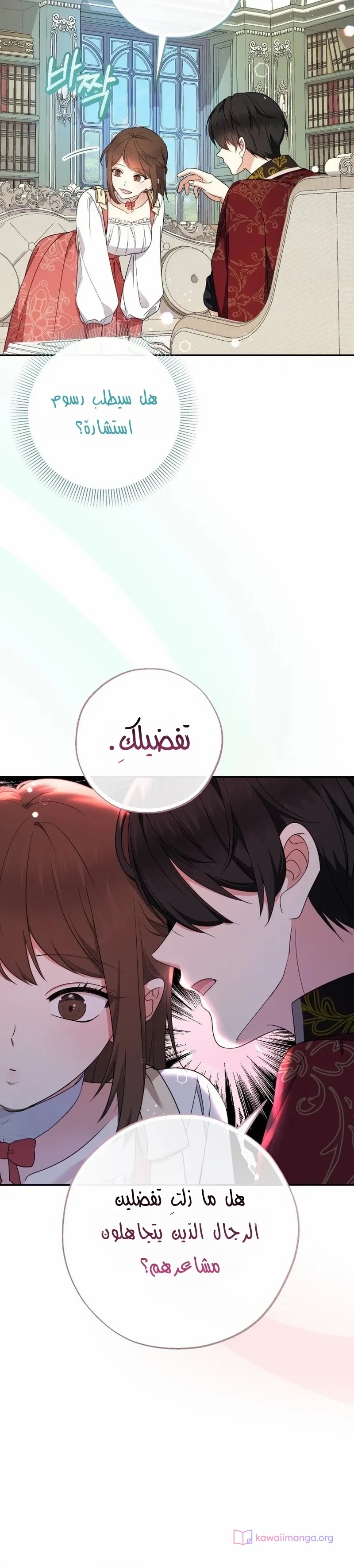 الصفحة 29