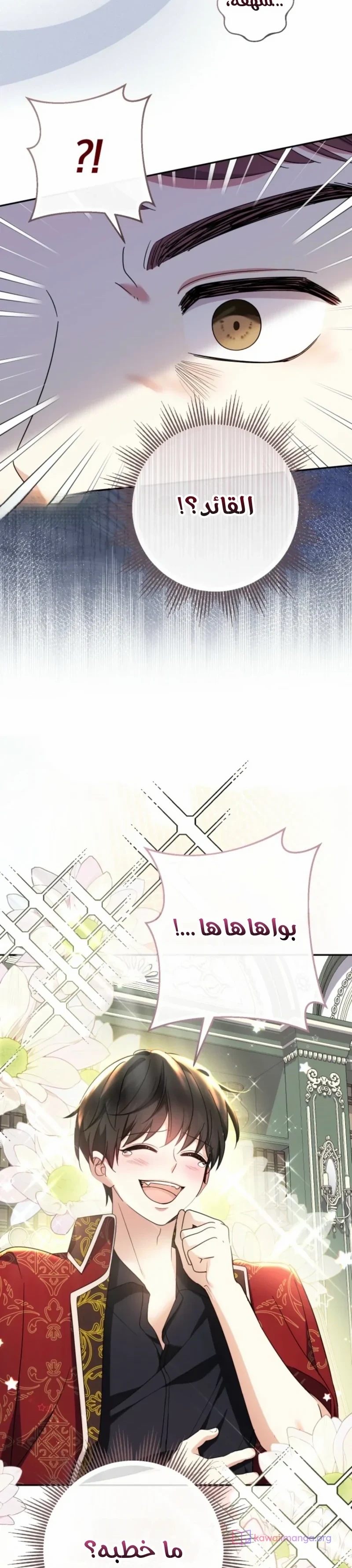 الصفحة 11