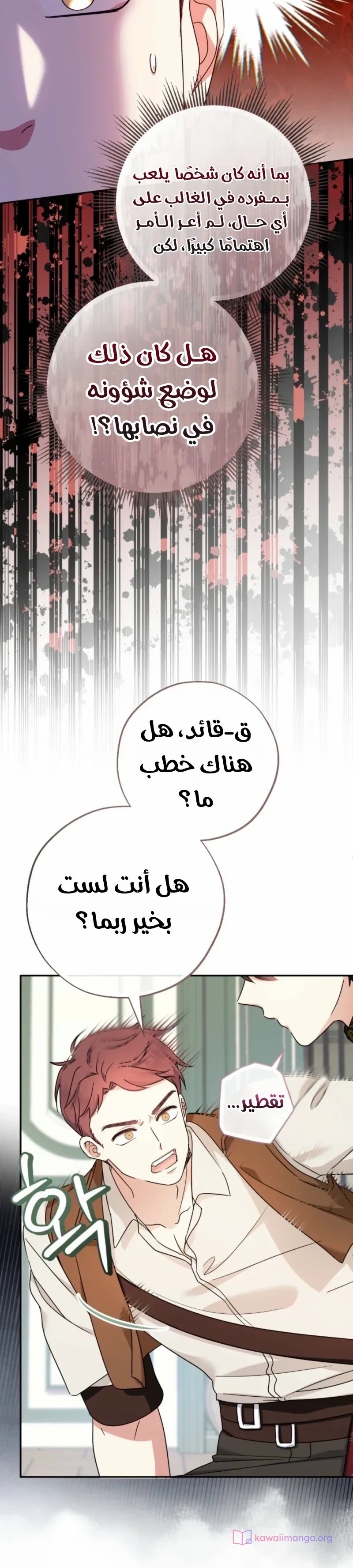 الصفحة 13