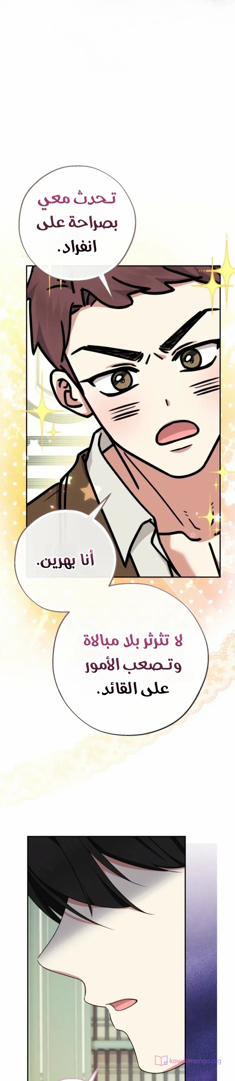الصفحة 14