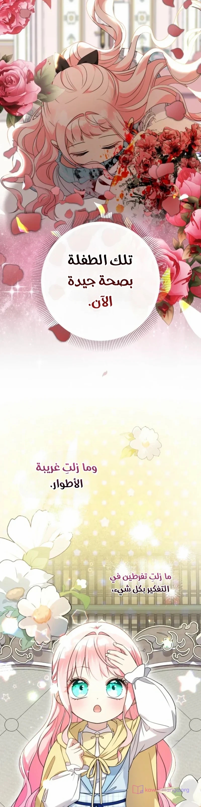 الصفحة 19