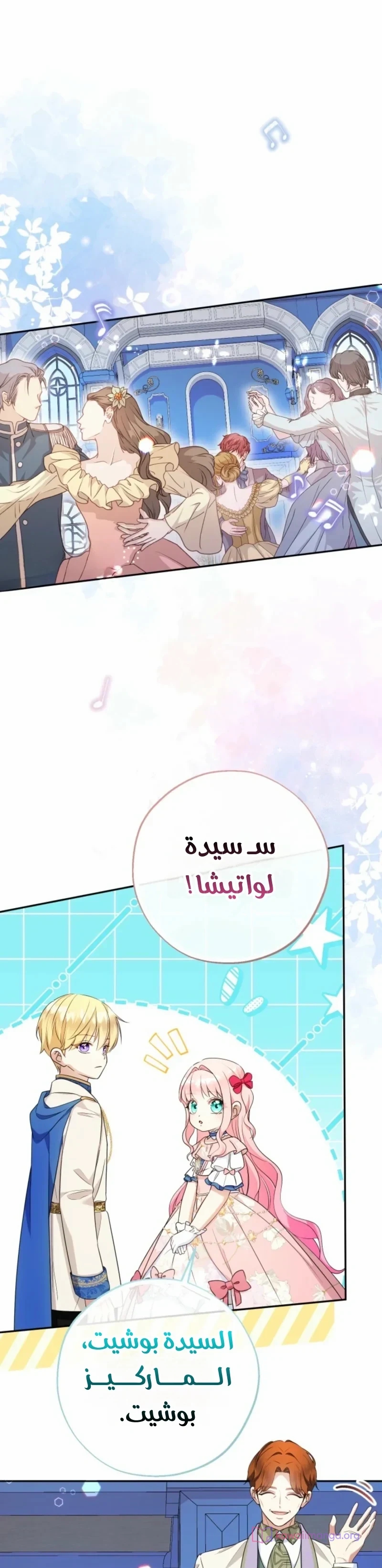 الصفحة 13