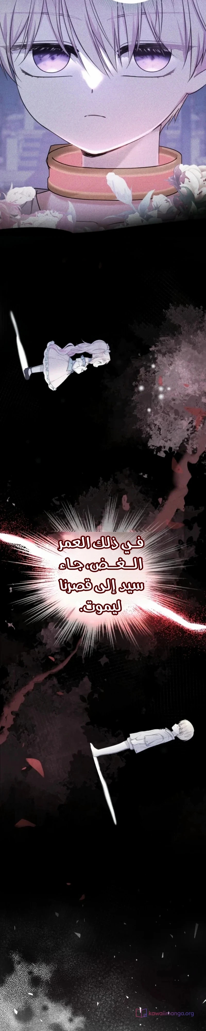 الصفحة 24