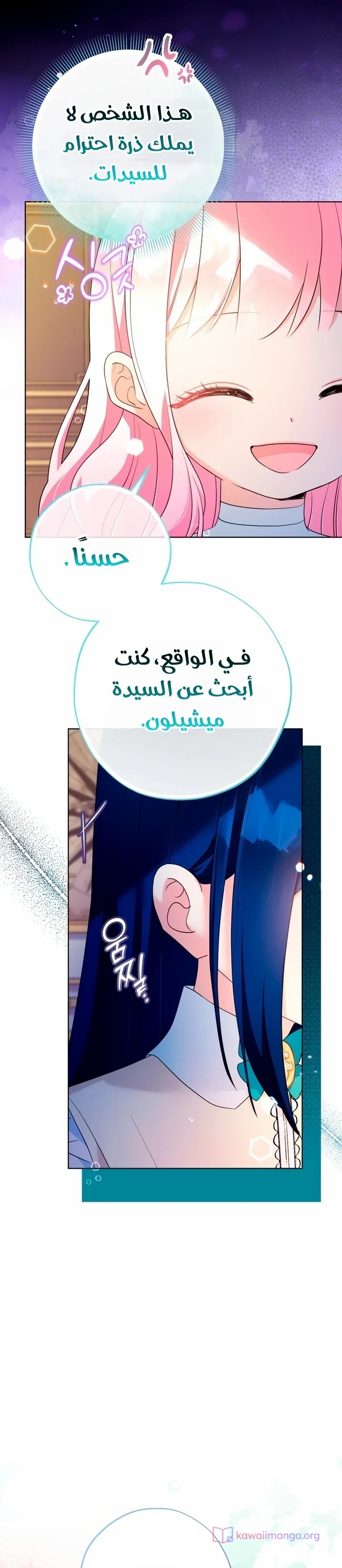 الصفحة 17