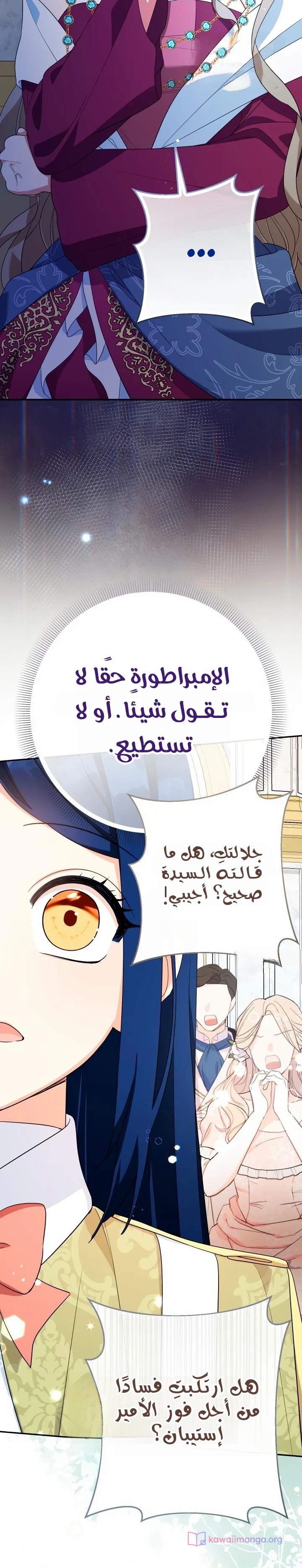 الصفحة 24