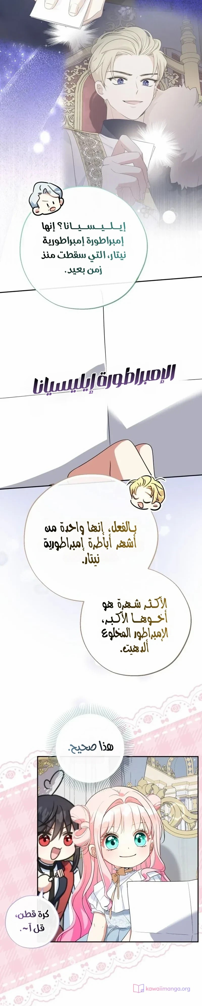 الصفحة 26