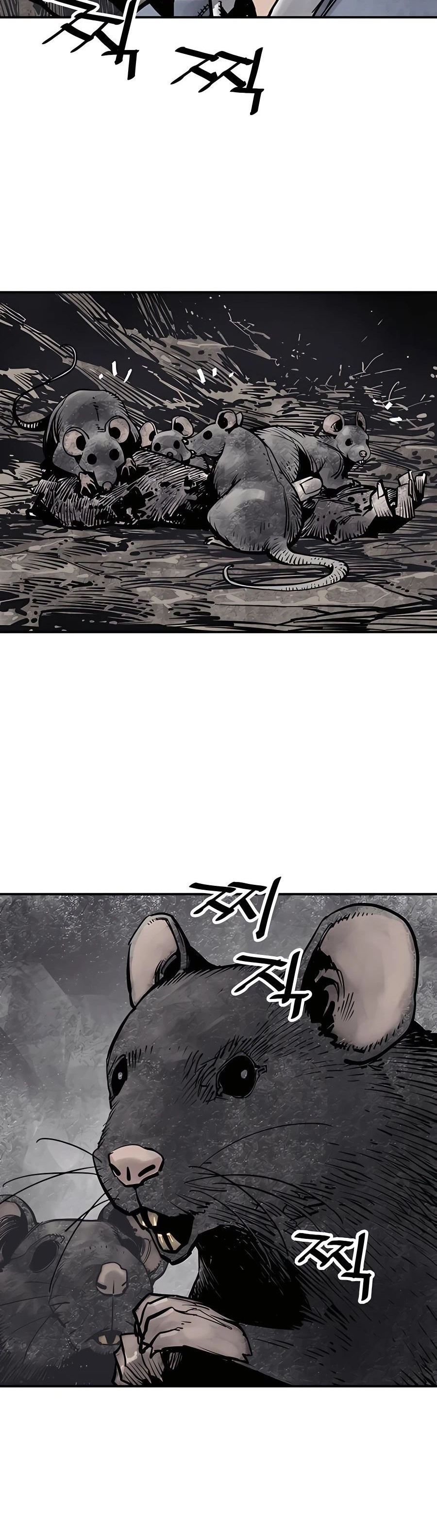 الصفحة 52