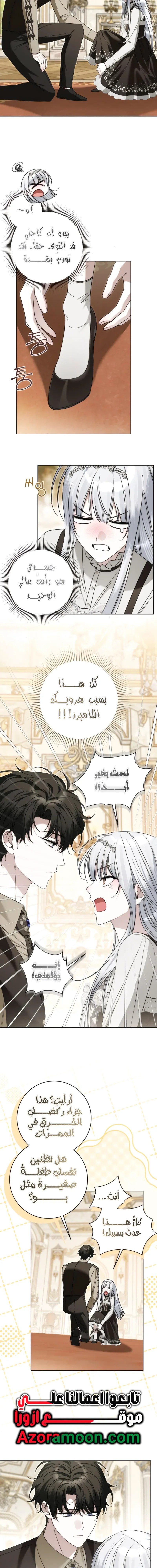 الصفحة 13