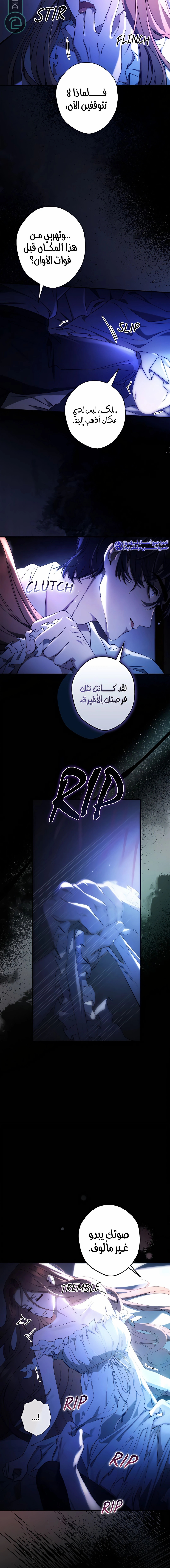 الصفحة 12