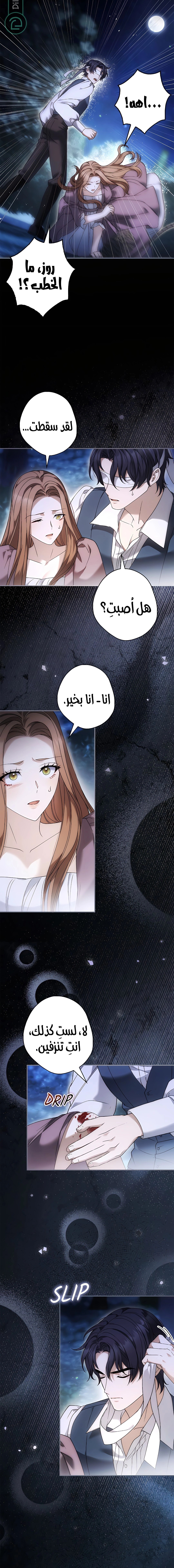 الصفحة 8