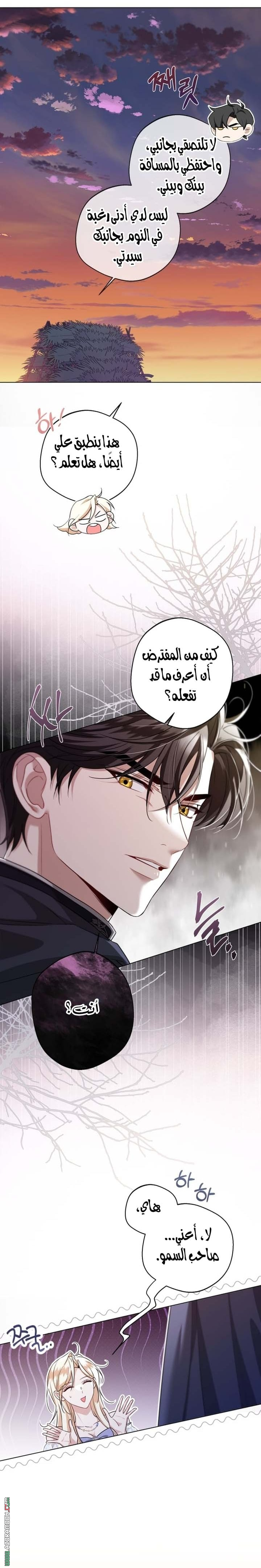 الصفحة 11