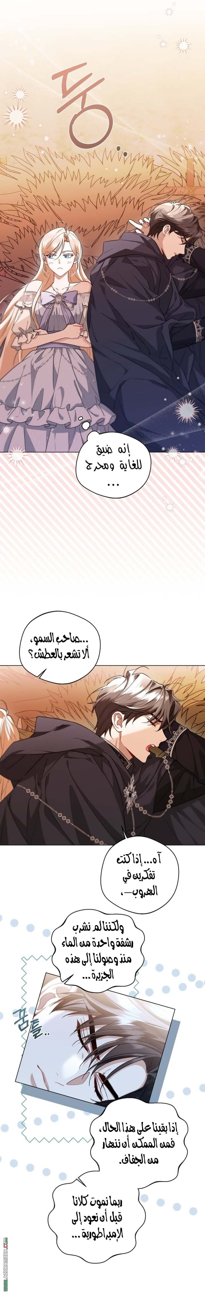 الصفحة 12