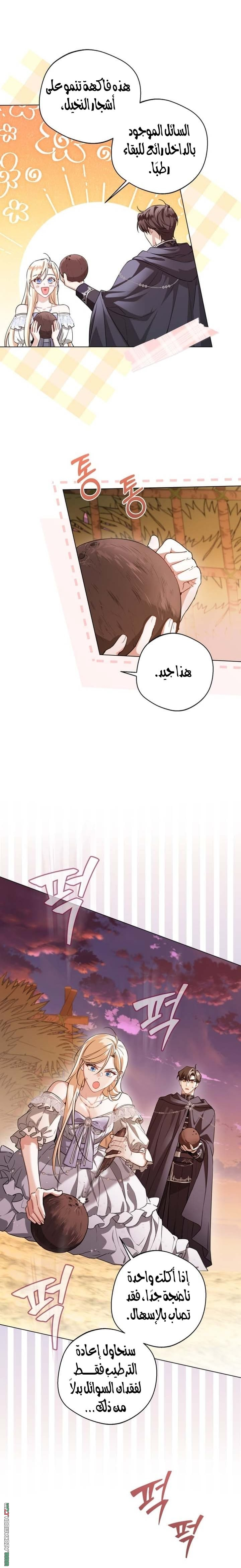 الصفحة 14