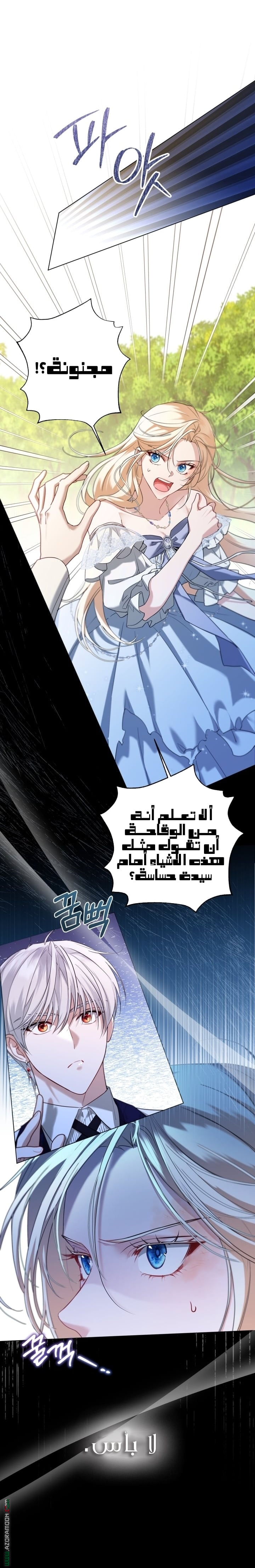 الصفحة 2