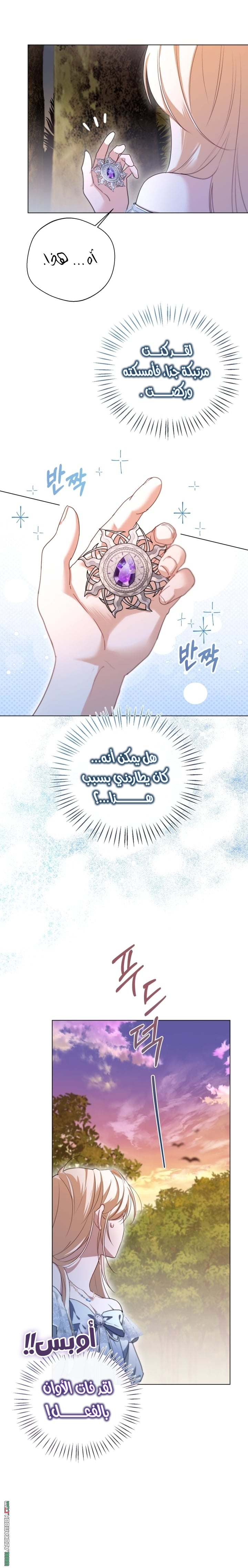 الصفحة 17