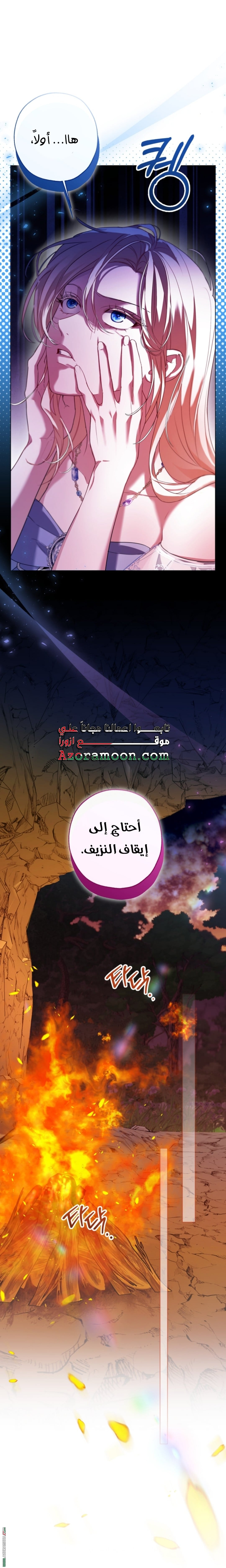 الصفحة 28