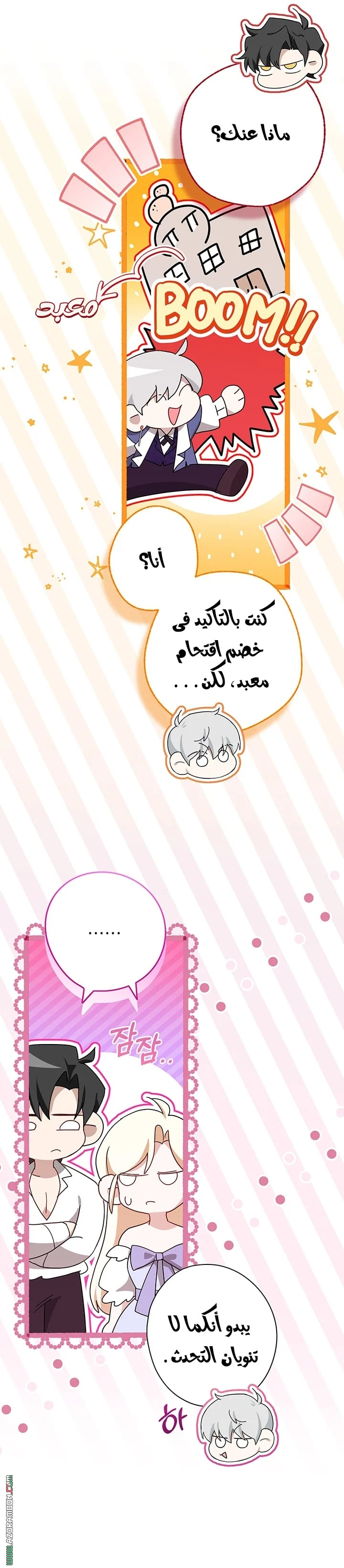 الصفحة 17