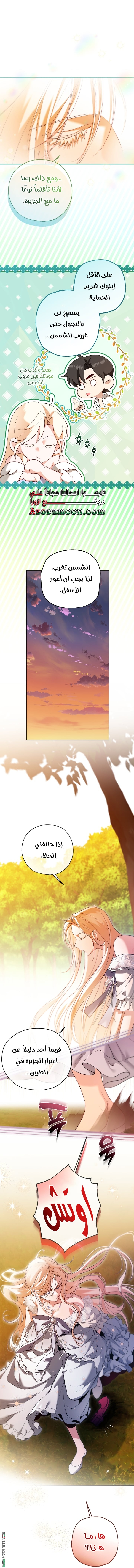 الصفحة 13