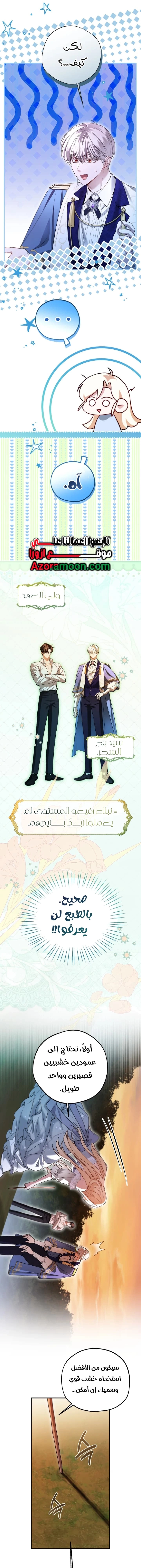 الصفحة 15