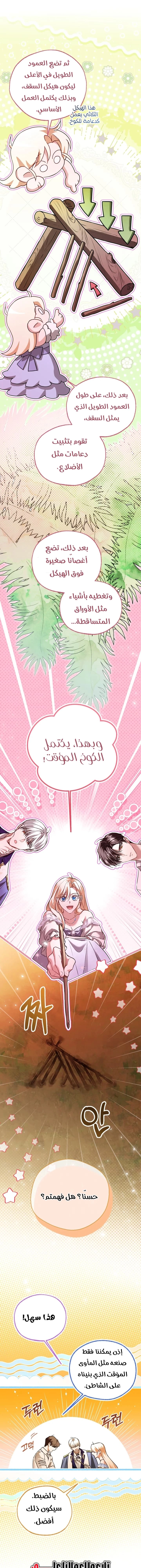 الصفحة 17