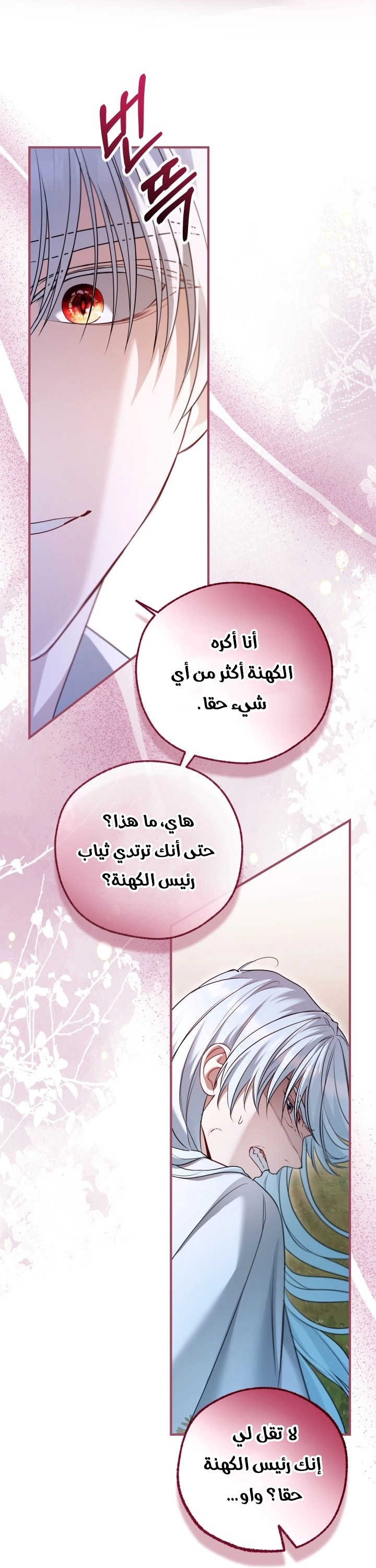 الصفحة 26