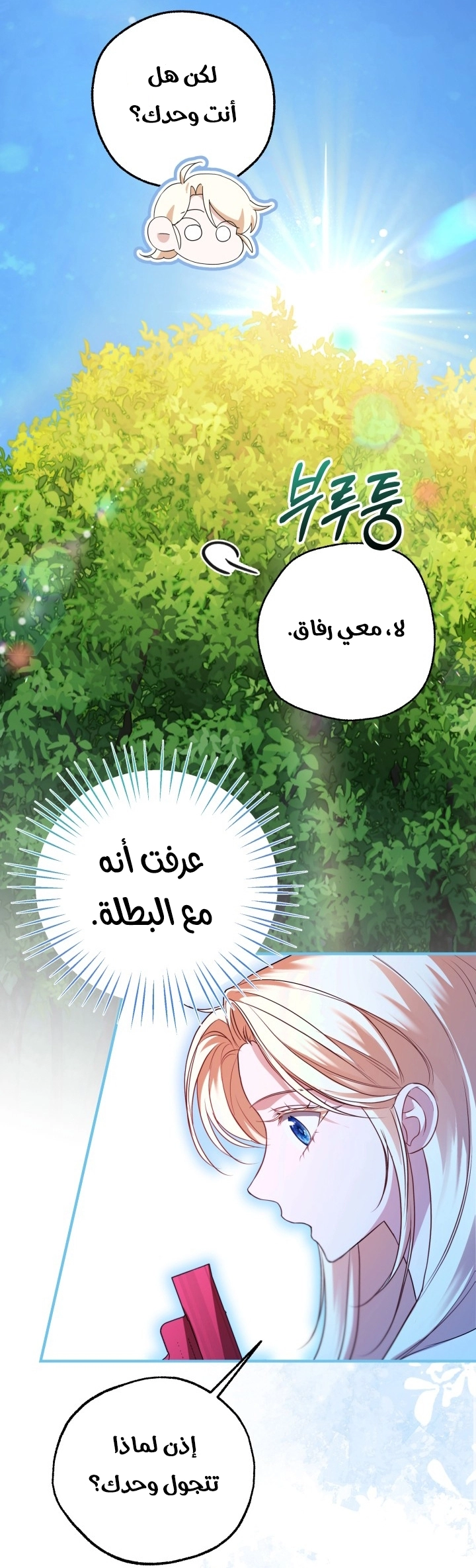الصفحة 42