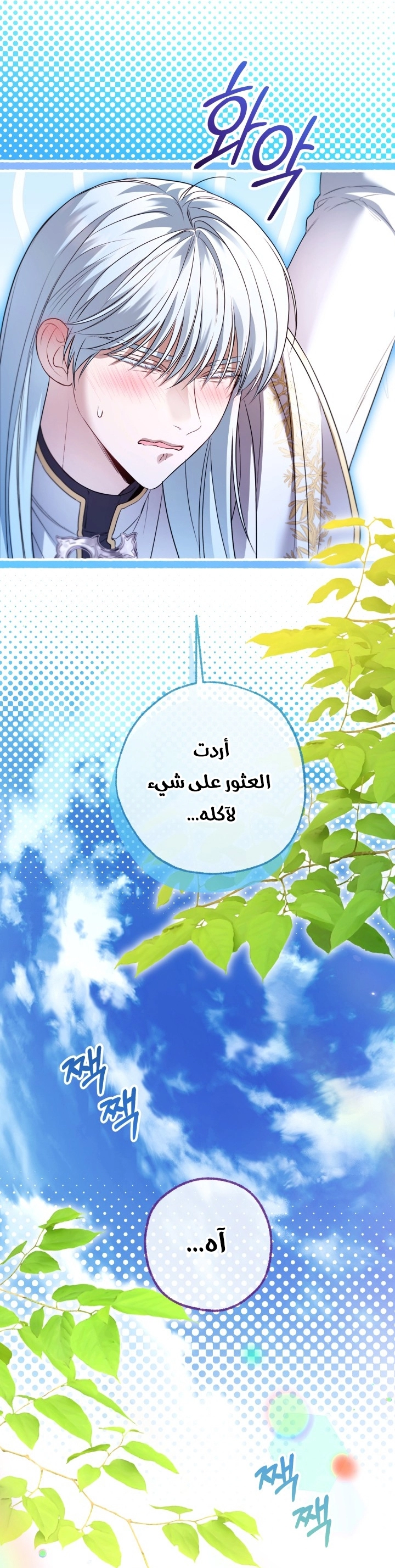 الصفحة 46