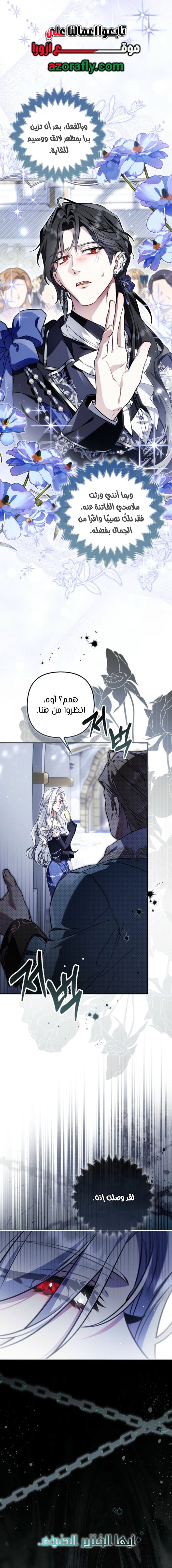 الصفحة 13