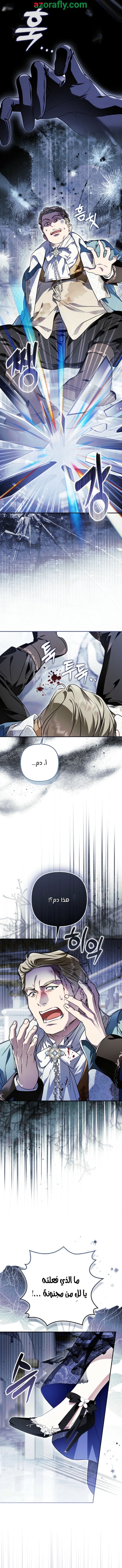 الصفحة 17