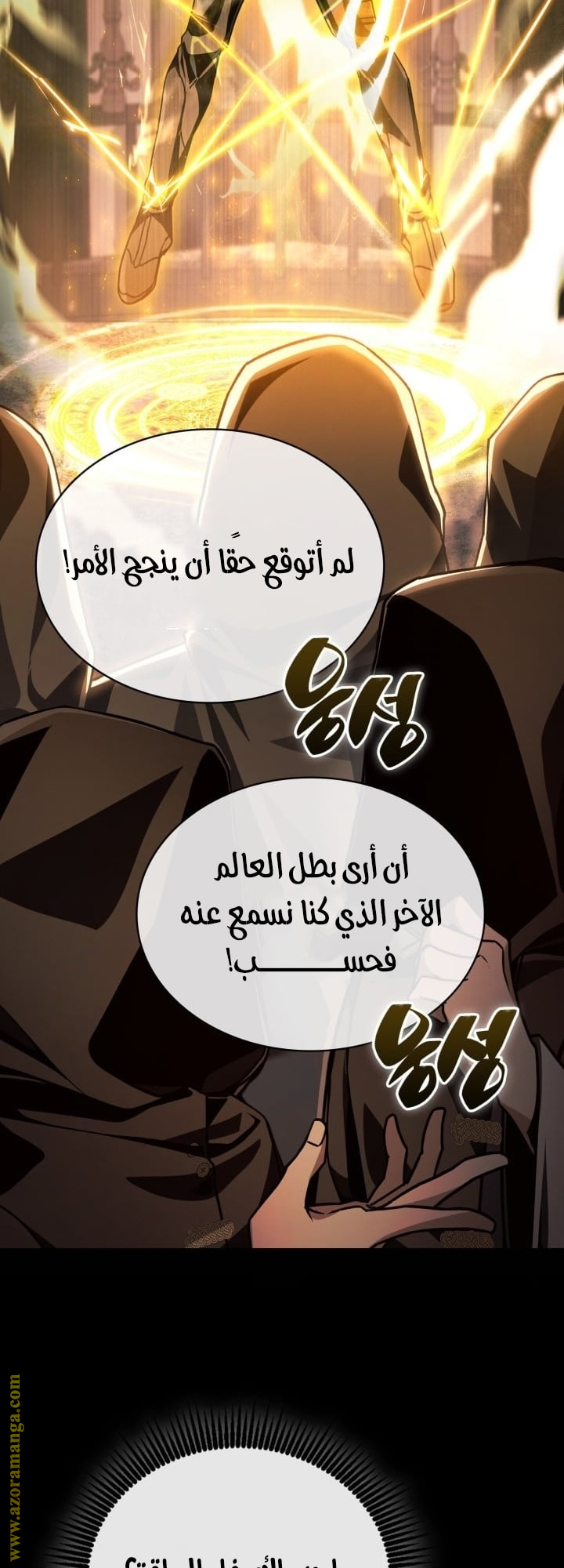 الصفحة 31