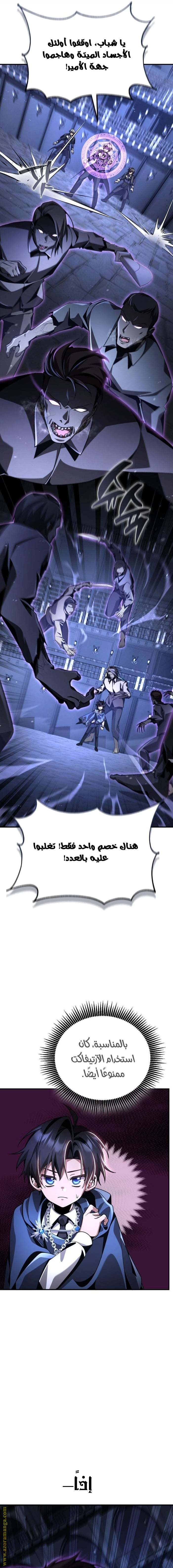 الصفحة 13