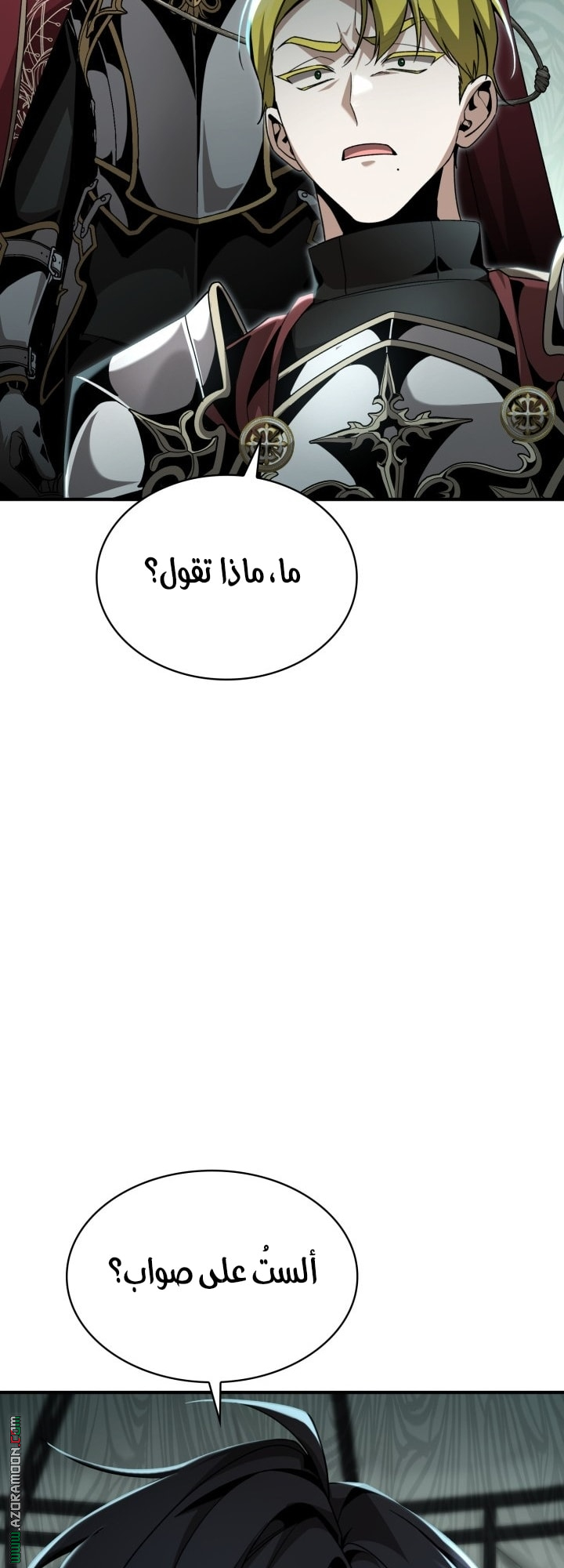الصفحة 17