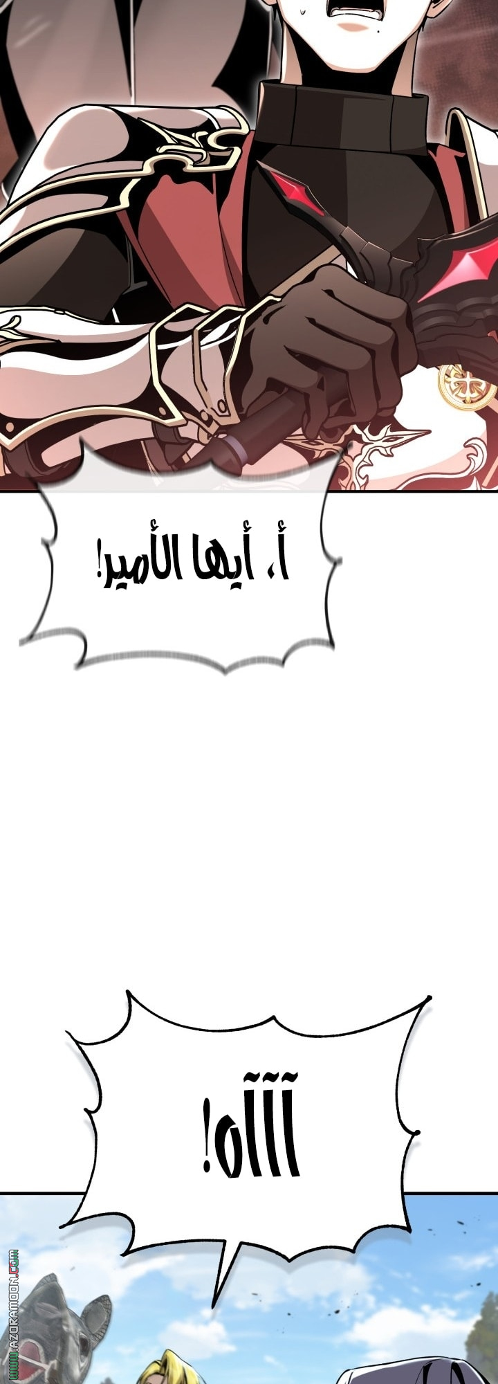 الصفحة 13