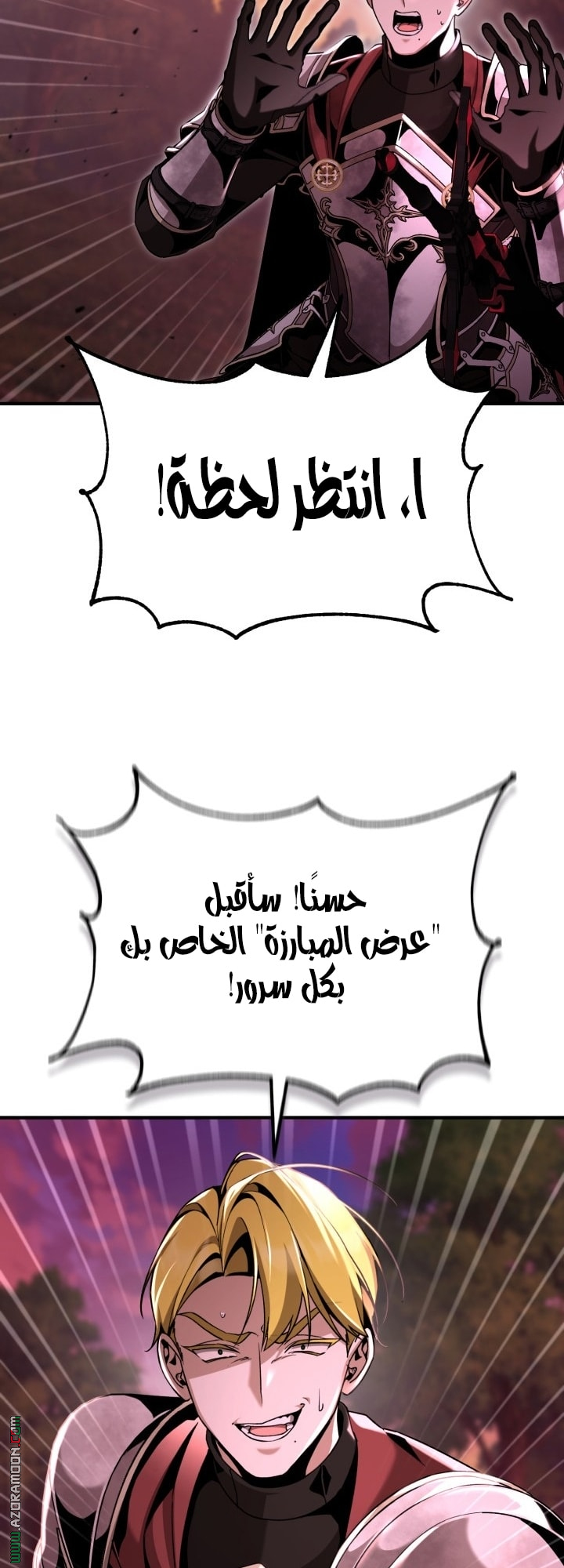 الصفحة 26