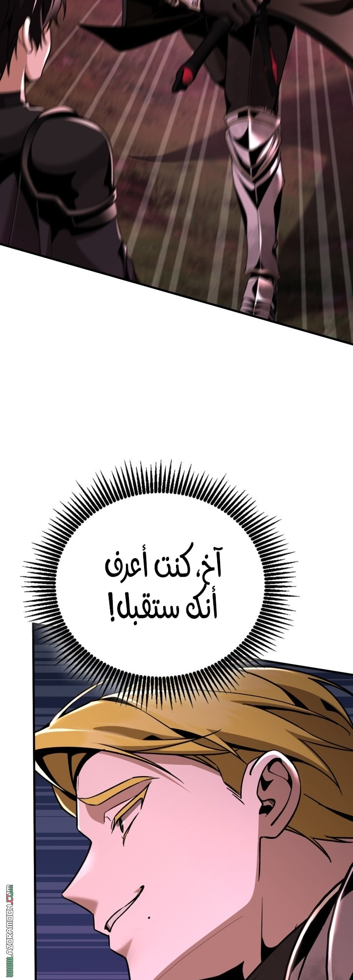 الصفحة 31