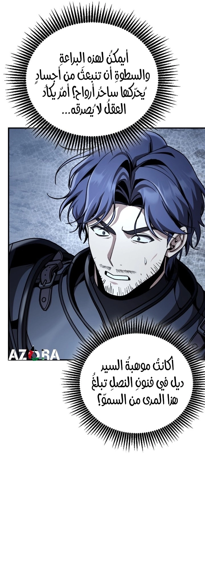 الصفحة 13