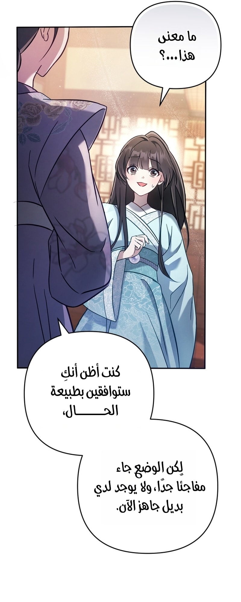 الصفحة 13