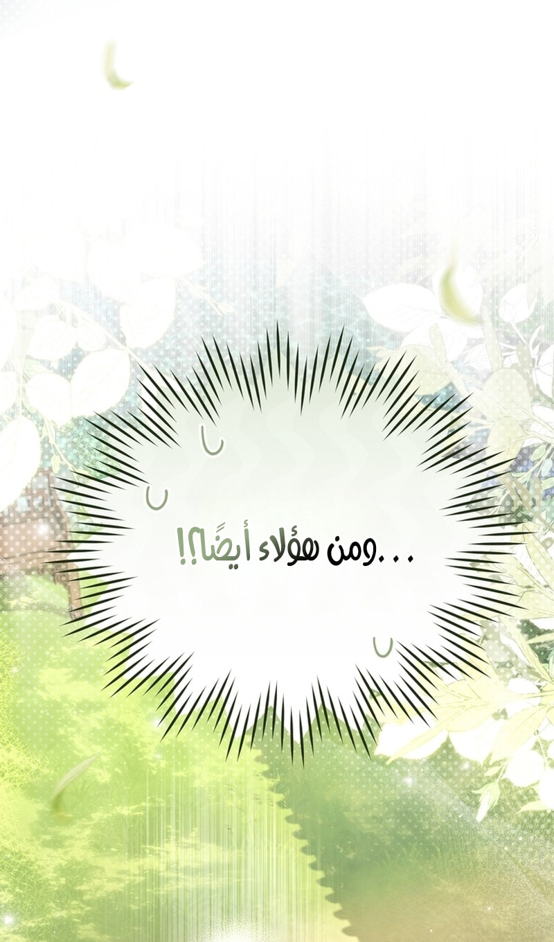 الصفحة 67